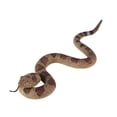 thumbnail image 1 of Realistic Fake Snake Toy Soft TPR Snake Model Keep Birds Away Scare Squirrels Simulated Snake Tricky Props Adults Halloween Party Gag Gift, 1 of 8