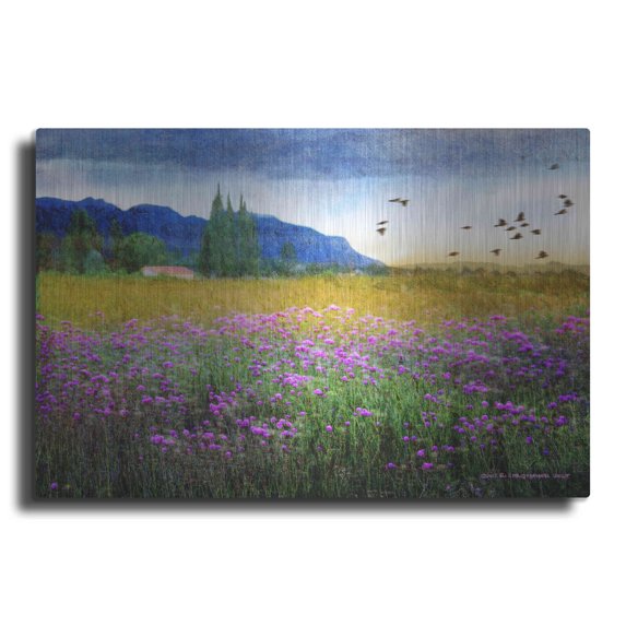 Luxe Metal Art 'Mesa Verde and Knapweed' by Chris Vest, Metal Wall Art, 24"x16"