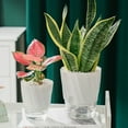 thumbnail image 2 of ZheElen White Convenient And Practical Self Watering Flower Pot For Lazy Gardeners Of Absorbent Cotton Rope Pink transparent bot king-size 1Set, 2 of 6