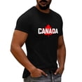 thumbnail image 6 of Mens Big & Tall Short Sleeve T-Shirts Graphic Crewneck Casual Printed Tee Summer Beach Hawaiian Vintage Shirts Size M-4XL Black, 6 of 7