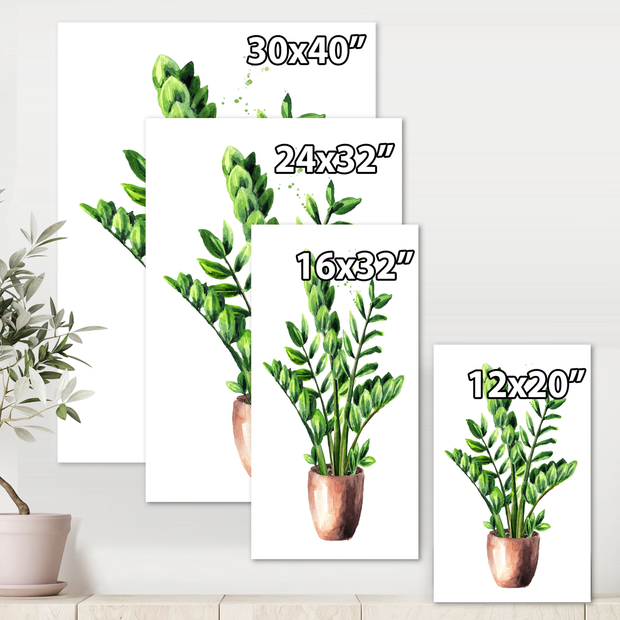 Designart ' Zamioculcas Tropical Plant With Green Leaves On White ' Traditional Canvas Wall Art Print