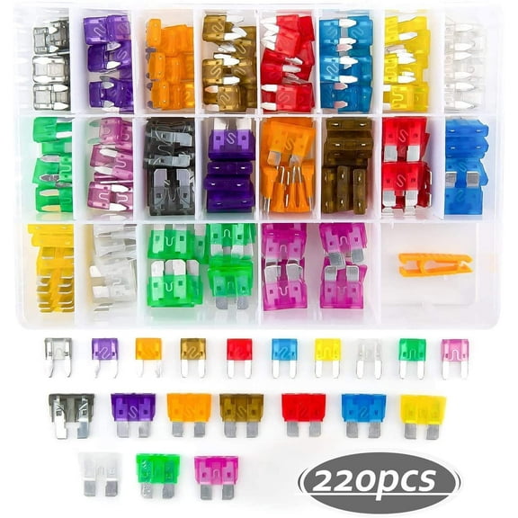 Upgrade 220 PCS Car Fuses Assortment Kit, Blade-type Automotive Fuses, Standard and Mini Size (2A/3A/5A/7.5A/10A/15A/ 20A/25A/30A/35A),Fuses Replacement for Car, RV fuses