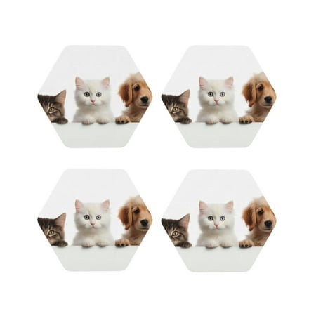

Fuzoiu Cute Kittens And Puppy Print Leather Coasters Set Drink Coasters Set of 4 for Tabletop Protection Durable PVC Coasters Home Décor and Housewarming Gift-Hexagon