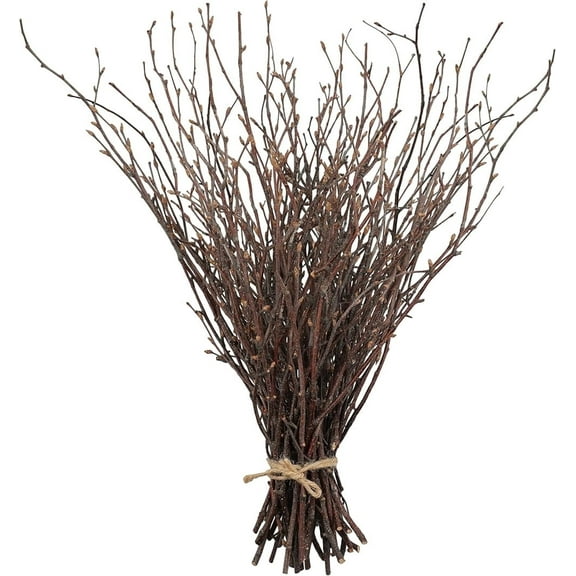 Triani 20Pcs Natural Birch Twigs Branches 19.6" Dried Plants Decorative for Decoration Curly Willow Branches Twigs for Vase Fillers Party Supplies Home Ornament