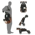 Evolur Cruise Rider Stroller, Coginac