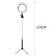 thumbnail image 5 of Anillo De Luz Led Regulable Para Cámara De Estudio, Lámpara De Luz Para Foto De Teléfono Y Vídeo Con Trípodes, Palo De Selfie, Anillo, Luz De Relleno De Mesa Para Canon Minnieouse EL009162-00, 5 of 5