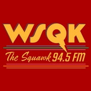 Netflix Mens Stranger Things Retro Radio The Squawk WSQK 94.5 FM Stripes T Shirt