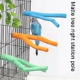 thumbnail image 2 of Estable, estable, para pájaros polares, descansa y juega en palo de madera, jaula para masticar Storquet para jaula esquí esquí Gafas de esquí, 2 of 5