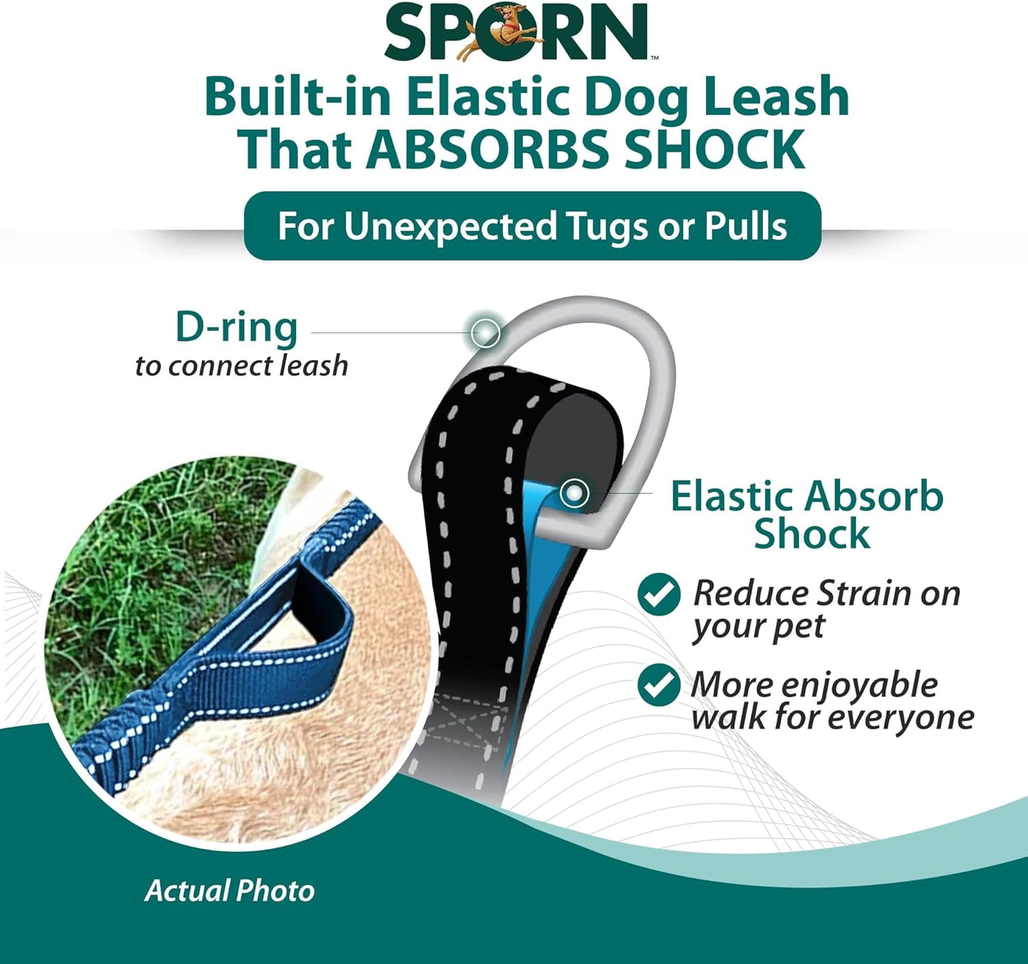 Sporn Child Co-Walk Training Dog Leash, 6 ft, Blue