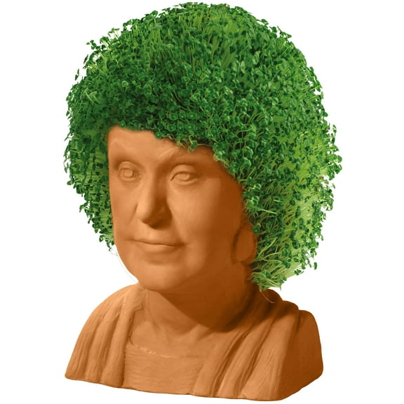 The Golden Girls Dorothy Chia Pet Handmade Decorative Planter by JEI