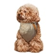 thumbnail image 4 of Naloa Hiking Duck Dog Bandanas 1PC Washable Triangle Dog Scarfs Premium Durable Fabric, for Small Medium Large Dogs and Cats, 4 of 6