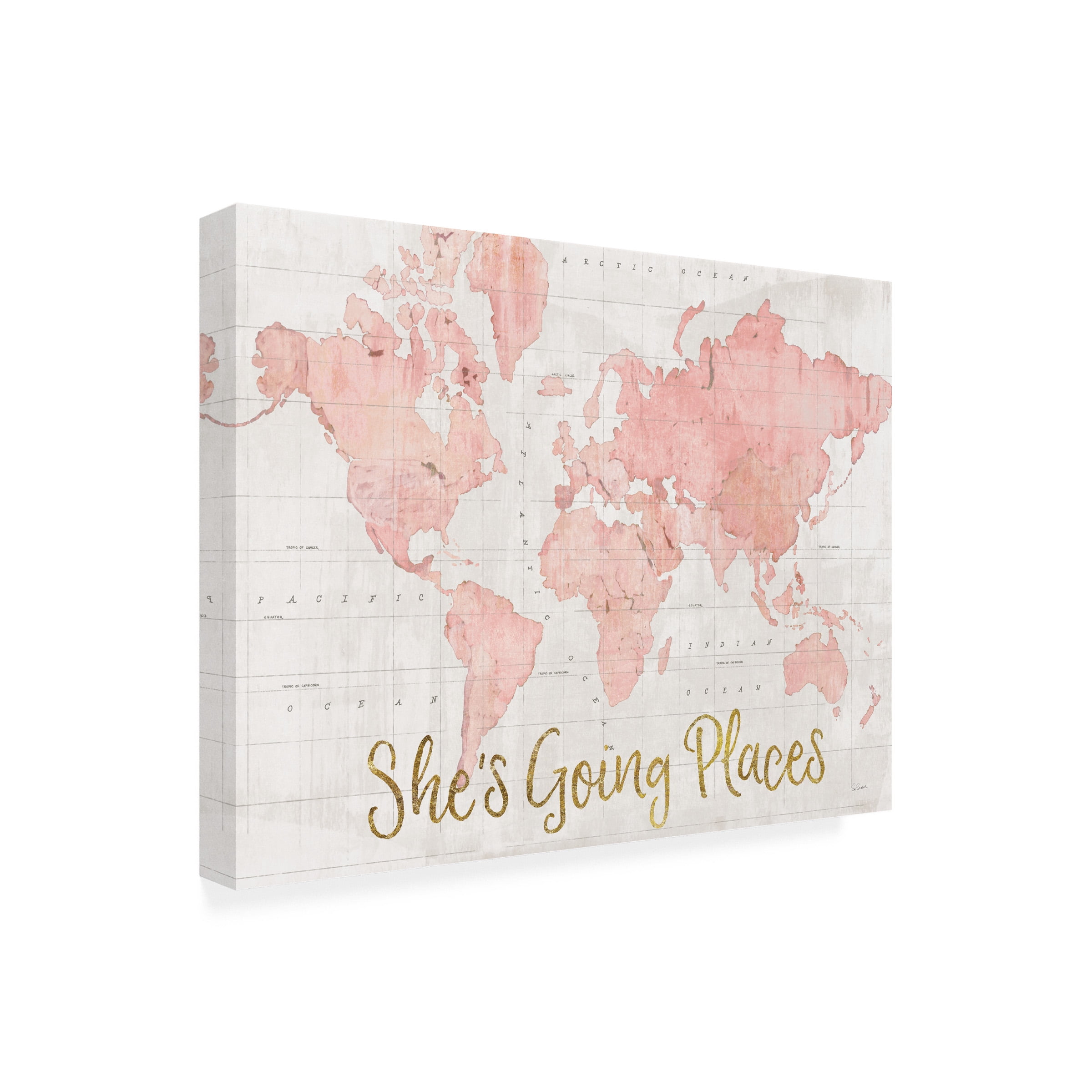 Sue Schlabach 'Across the World Shes Going Places Pink Crop' Canvas Art