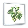 thumbnail image 3 of Designart 'Tropical Green Leaves On White In Summer Times I' Tropical Framed Canvas Wall Art Print, 3 of 5
