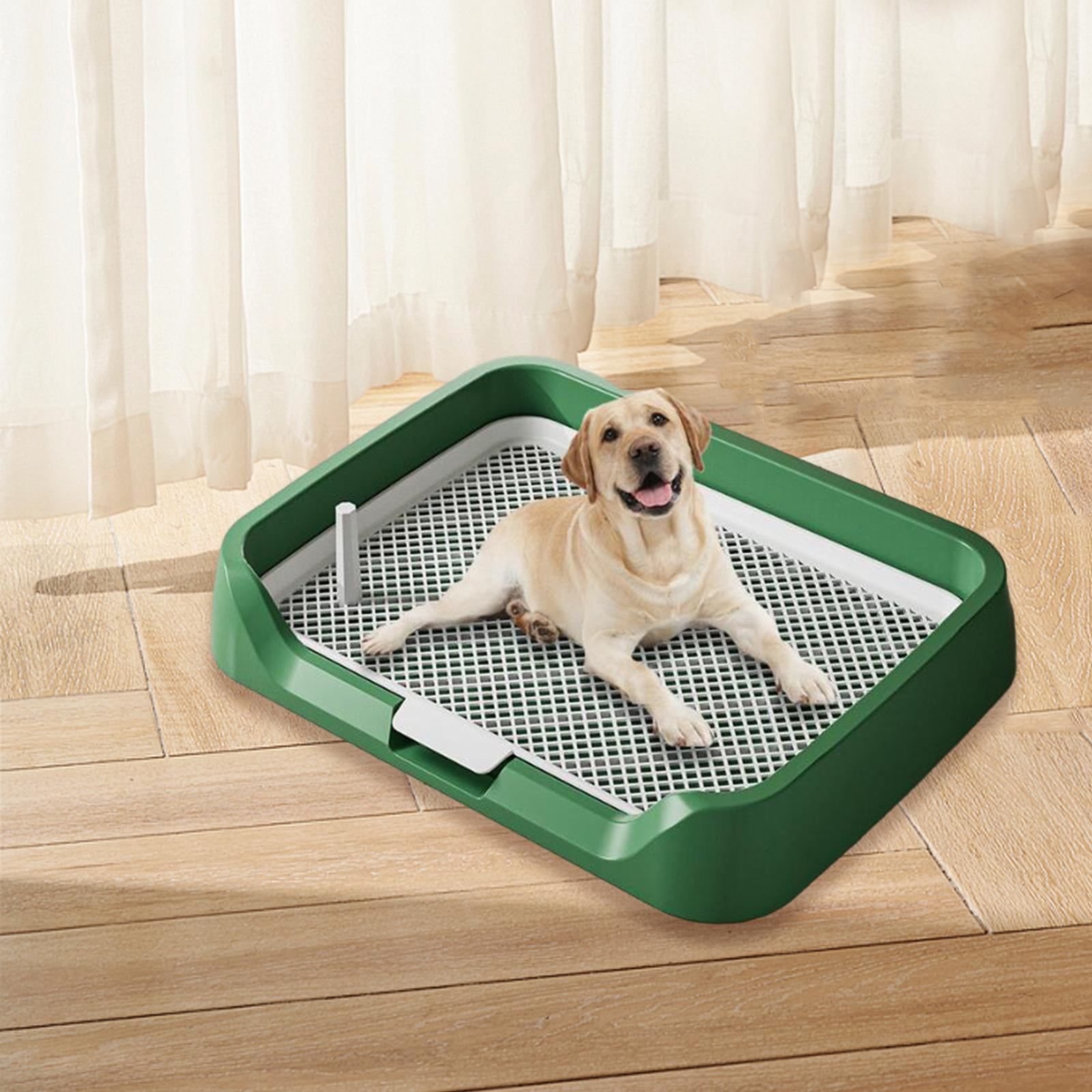Poop Pet Potty Tray Potty Buddy Poop Pad For Dogs On Sale (DOLITY