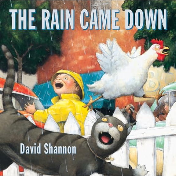 Pre-Owned The Rain Came Down (Scholastic Bookshelf), 9780439050210, 0439050219, Hardcover, First Edition edition