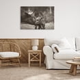 thumbnail image 4 of Stupell Industries Rustic Lodge Longhorn Kiss Photography Canvas Art, 36 x 24, by Nathan Larson, 4 of 8