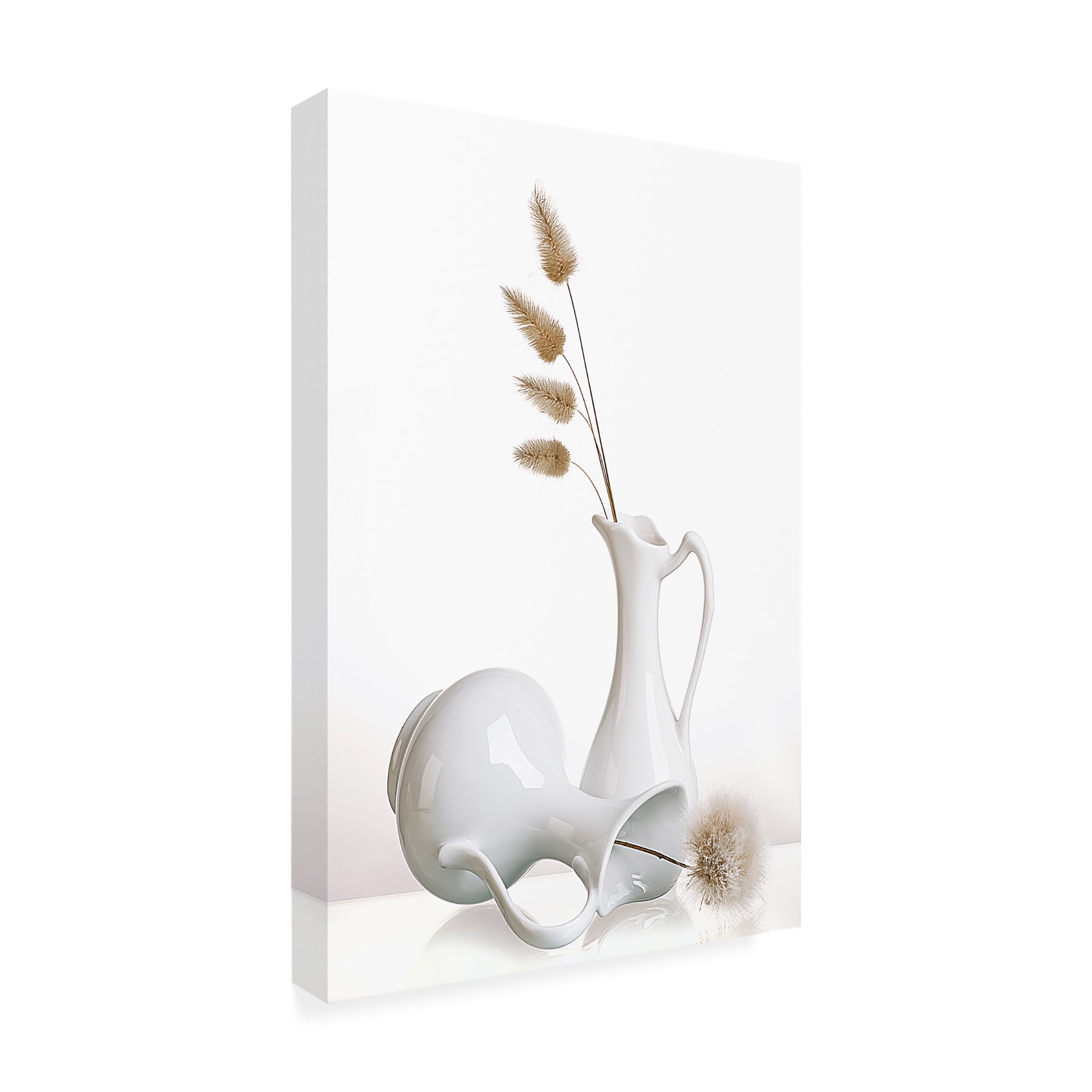 Aida Ianeva 'White' Canvas Art