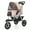 beige, variant on Three Wheel Folding Pet Stroller, Dog Jogger Travel Cats Carrier Adjustable Canopy Storage Brake Mesh Window