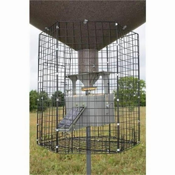 Boss Buck Varmint Cage Deluxe Round - Large - Black