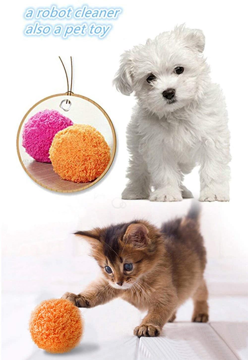 magic ball cat toy