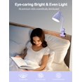thumbnail image 4 of Lámpara de escritorio BOHON Lila Purple 10W 38 LED 3 colores 10 brillos, 4 of 5