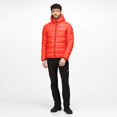 thumbnail image 2 of Regatta - Chaqueta Aislante Toploft para Hombre (Naranja Cajún), 2 of 6
