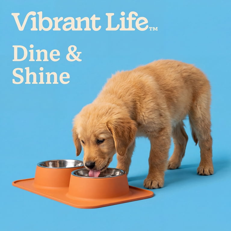 Vibrant Life Double Pet Bowls, 1.98 Cups Each, Orange photo 4