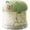 Green, variant on Airtight Dog Treat Container with Lid, Moisture-Proof Pet Snack Storage Jar for Countertop, Dog Cat Food Bin for Kitchen Pantry Organization(beige)