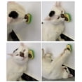 thumbnail image 4 of Neotimely Catnip Wall Ball, Detachable Silvervine Catnip Lollipop, Edible Kitty Toys for Cats Lick, Safe Healthy Kitten Chew Toys, Teeth Cleaning Dental Cat Ball Toy for Indoor(8 Pcs), 4 of 8