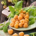 thumbnail image 5 of Set 4 Raspberry Plants Live 5 To 8 Inch Tall, Raspberry Bush Live Plants, Sweet Raspberries Fruit Seedlings (Fall Gold Raspberry), 5 of 6