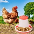 thumbnail image 4 of Comedero automático Zulema para pollos 5x dispensador de alimentos con colgante, 4 of 8