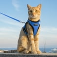 thumbnail image 6 of rabbitgoo Cat Harness and Leash for Walking, Escape Proof Soft Adjustable Vest Harnesses for Cats, Easy Control Breathable Reflective Strips Jacket, Dazzling Blue, 6 of 14