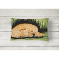 thumbnail image 2 of Caroline's Treasures SS8525PW1216 Chow Chow Decorative   Canvas Fabric Pillow, 12H x16W, multicolor, 2 of 3
