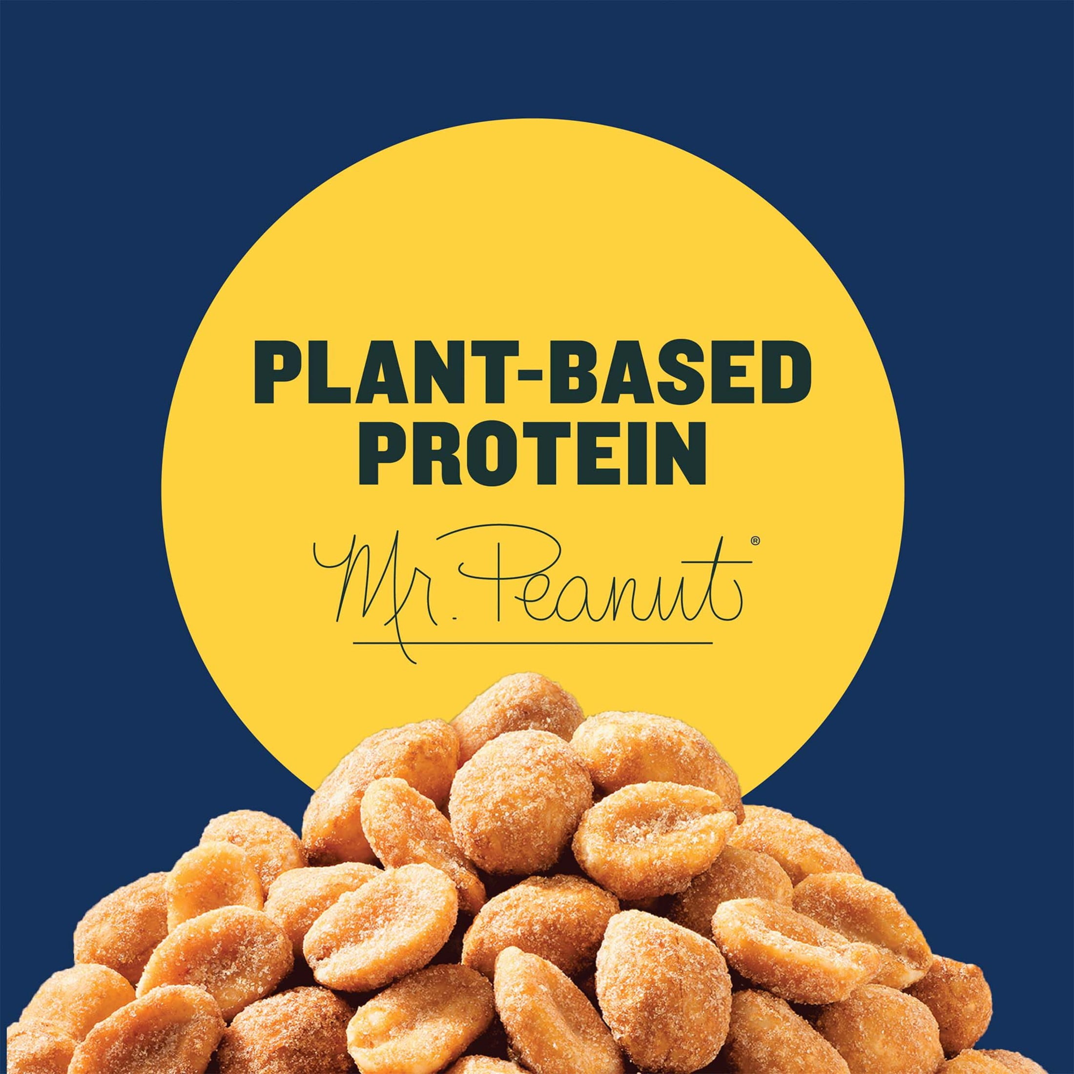 (3 pack) PLANTERS Dry Roasted Bold and Savory Peanuts, Party Snacks, Plant-Based Protein, 16 oz Jar