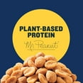 thumbnail image 3 of PLANTERS Dry Roasted Bold and Savory Peanuts, Party Snacks, Plant-Based Protein, 16 oz Jar, 3 of 14