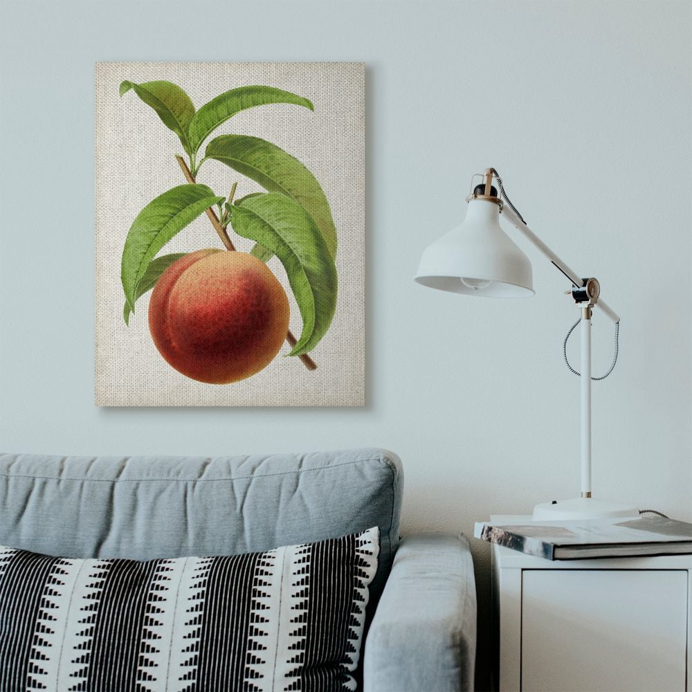 Stupell Industries Vintage Fruit Peach Painting Canvas Wall Art by Vision Studio