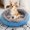 Blue, variant on ChicYu Thick Plush Pet Bed Mat Warm Cushion Suitable for Pets Weighing 5-10 Pounds Soft Fabric for Cats, Small Dogs and Cold Season Use