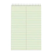 New MyOfficeInnovations Steno book 9" x 6" 80 Sheets Gregg Ruled Dozen 163485