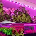 thumbnail image 5 of LED Plant Growing lamp, Red Blue Full Spectrum 42-288 LEDs Grow Light Strips for Indoor Plants with 8/12/16H Timer & 5 Dimmable Levels, USB Plug-in Led Growth Light for Shelves Hydroponics Succulent, 5 of 8