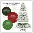 thumbnail image 6 of National Tree Company 7.5 ft. Pre-Lit Artificial Acacia Pencil Slim Christmas Tree, Green, 350 Clear Lights, Flocked, Includes Stand, 6 of 8