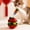 Red, variant on Interactive Toys for Cats, Automatic Shaking Teaser, Cat Exercise Wand, Kitten Play Toy, Catnip Ball Design, for Indoor Outdoor Use
