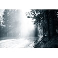 thumbnail image 2 of Murdock, Ramona 18x13 White Modern Wood Framed Museum Art Print Titled - Light in the Forest III, 2 of 4
