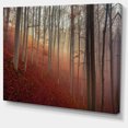 thumbnail image 2 of Foggy Day in Enchanted Forest - Landscape Canvas Art Print, 2 of 4