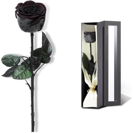Preserved Rose, Preserved Flowers for Delivery Prime, Single Rose Flower Gifts for Women, Real Rose Gifts for Her, Birthday Gifts, Valentines Flowers for Girlfriend - Black