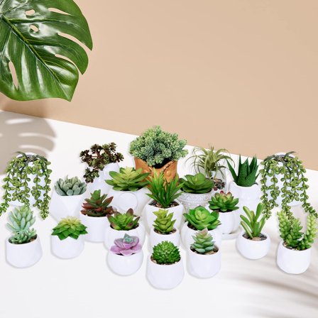 22 pcs Bulk Artificial Succulents Plants Unpotted Small Aloe Hanging String of Pearls Cactus Green Fake Succulents for Succulent Garden Arrangement Centerpiece Wall Indoor Outdoor Home Decor