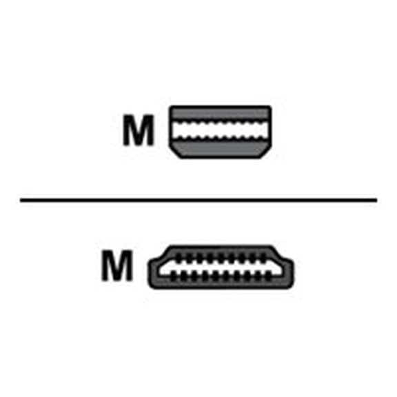 Nippon Labs Model MINIDP-HDMI-10 10 ft. Mini DisplayPort to HDMI® 10ft  32 AWG Cable M-M 10 feet- OEM