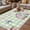LightGreen, variant on Easter Bunny Outdoor Rug for Patio/Deck/Porch, Non-Slip Large Area Rug 5 x 7 Ft, Spring Flower Daisy Tulips Green Checkered Indoor Outdoor Rugs Washable Area Rugs, Camping Rug Carpet Runner