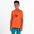 thumbnail image 4 of Dare 2B - Camiseta Amuse Ciclismo para Niños/Niñas (Naranja Trail Blaze), 4 of 5