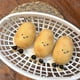 thumbnail image 1 of con Mr.Potato Squishy Toy,Potato Squishy Toys,Funny Ultra Soft Potato Squishy Toys, 1 of 5