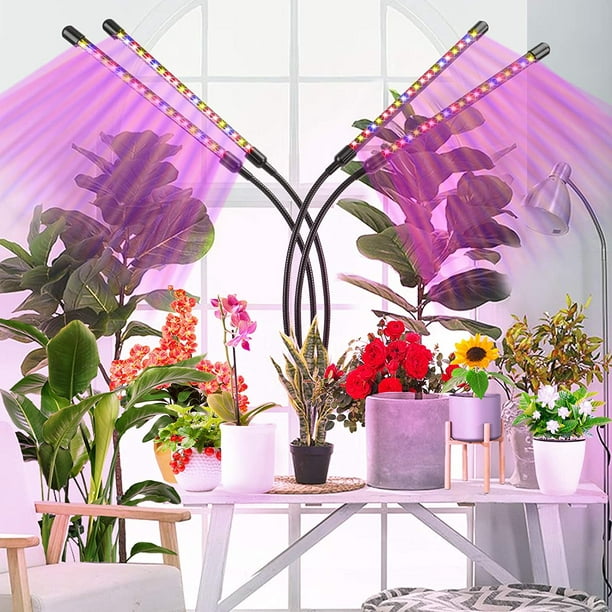 Lampe ajustable au LED pour plante intérieur MOSSIFY – Jardinerie